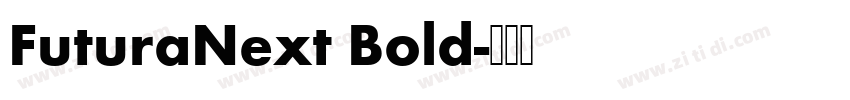 FuturaNext Bold字体转换